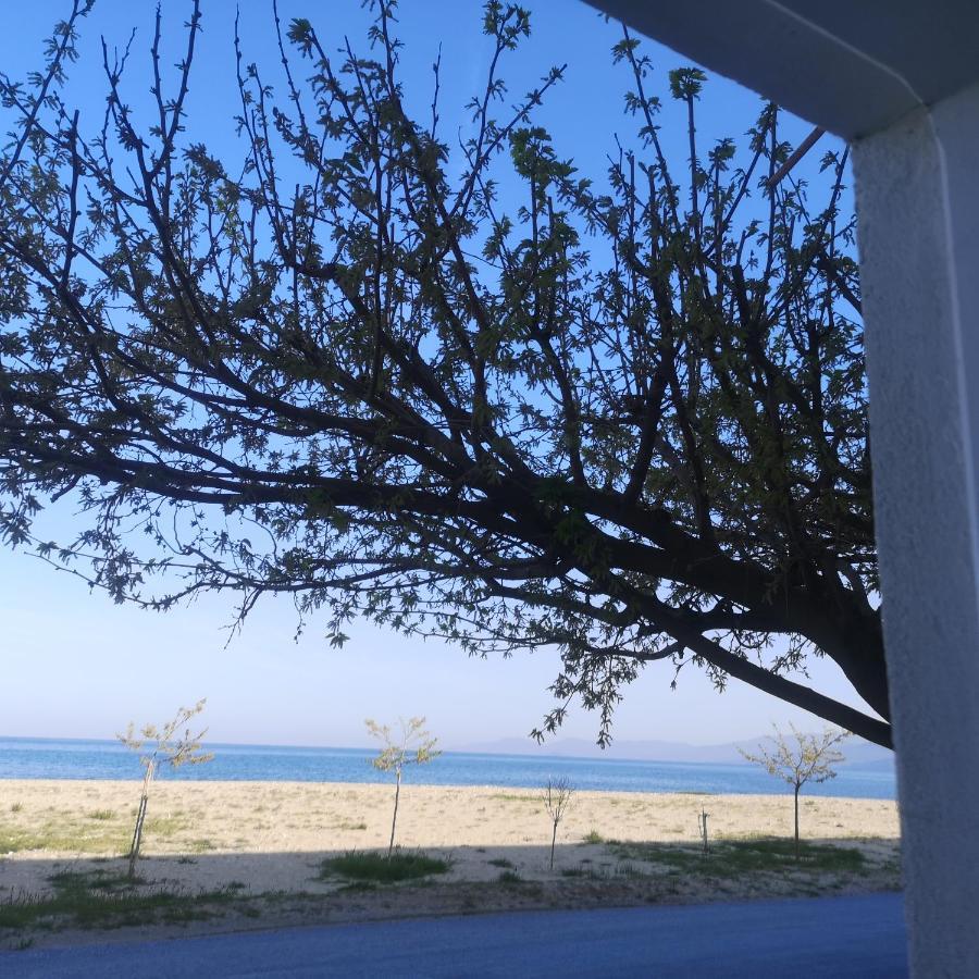 Greece Asprovalta Rooms Accomodation Apartment Hotel Petalo Extérieur photo