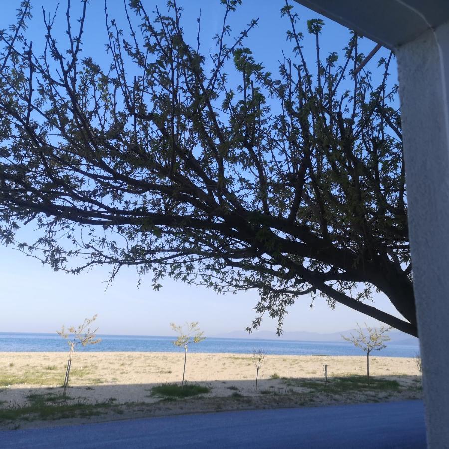 Greece Asprovalta Rooms Accomodation Apartment Hotel Petalo Extérieur photo
